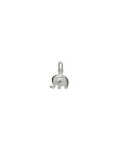 Rikkoert zilveren hanger olifant mat/glans