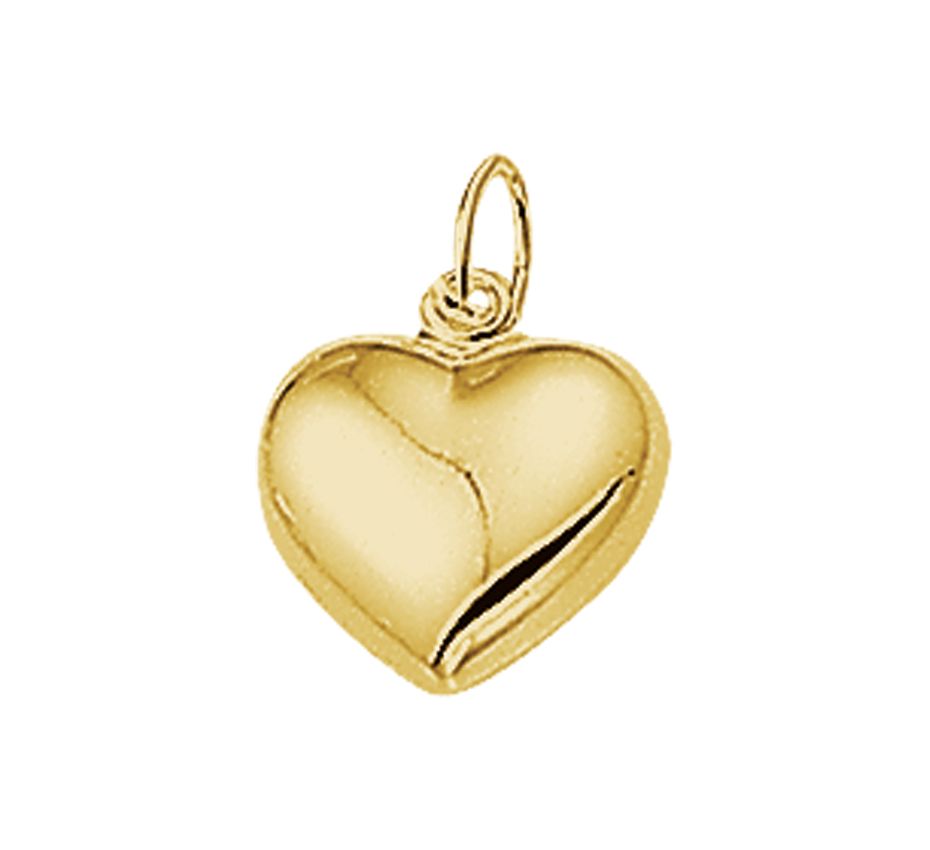 Gehoorzaamheid Stemmen Verleden Rikkoert geelgouden hanger hart 10,5 mm. kopen