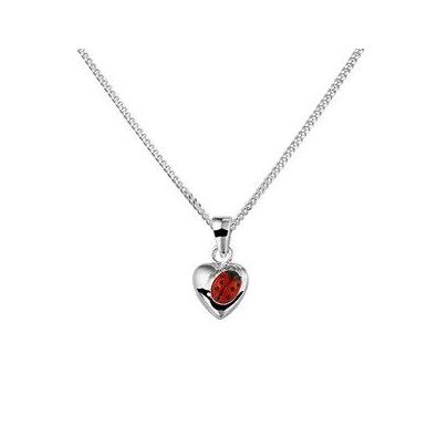 Rikkoert zilveren ketting met hanger lieveheersbeestje 40 cm.